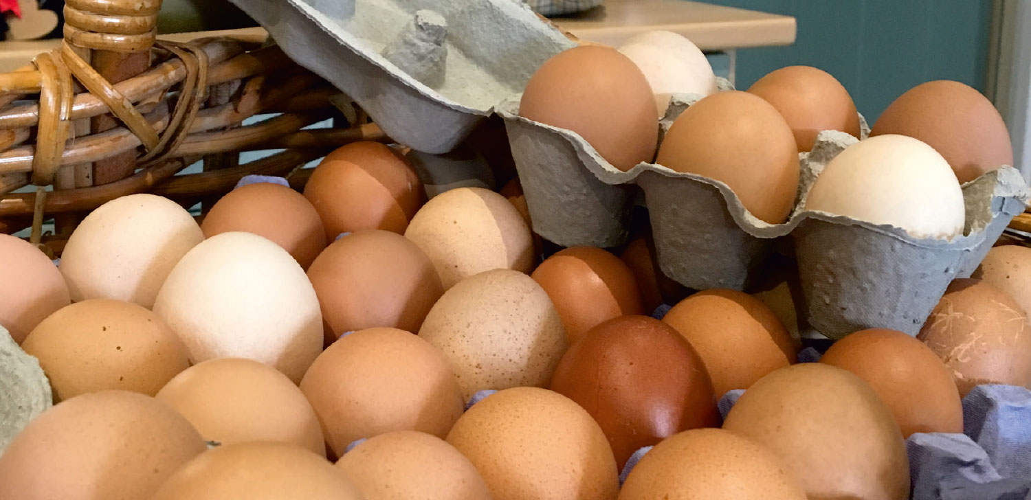 langholm farm shop eggs